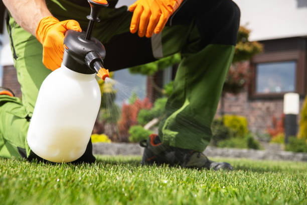 Best Local Pest Control Services  in Cross Plains, TX