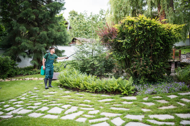 Best Pest Inspection Near Me  in Cross Plains, TX