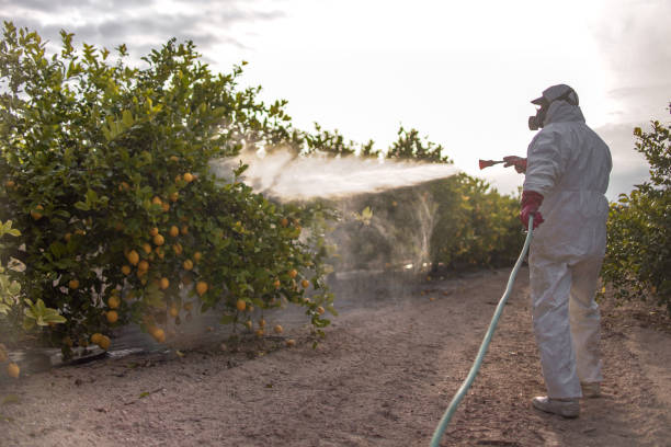 Best Pest Control for Businesses  in Cross Plains, TX