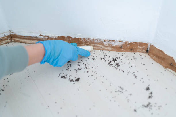 Best Best Pest Control Companies  in Cross Plains, TX