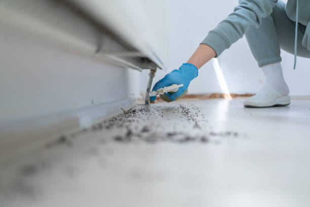 Best Rodent Control Near Me  in Cross Plains, TX